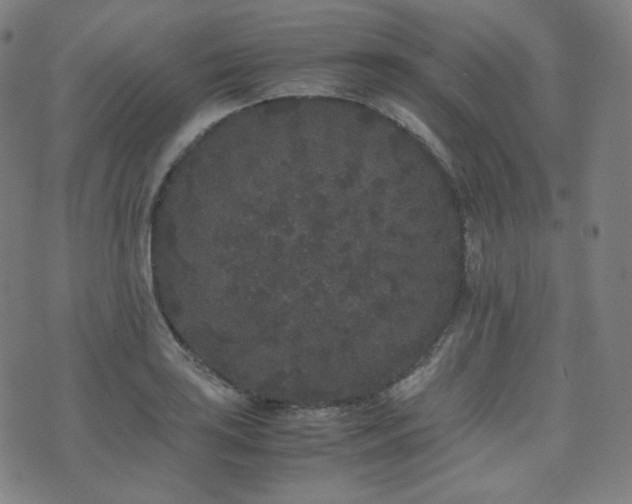 X0000072531035200607141157
