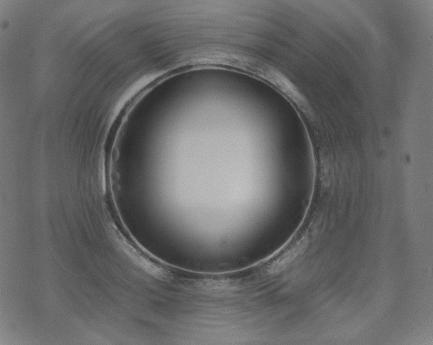 X0000072531036200607141157