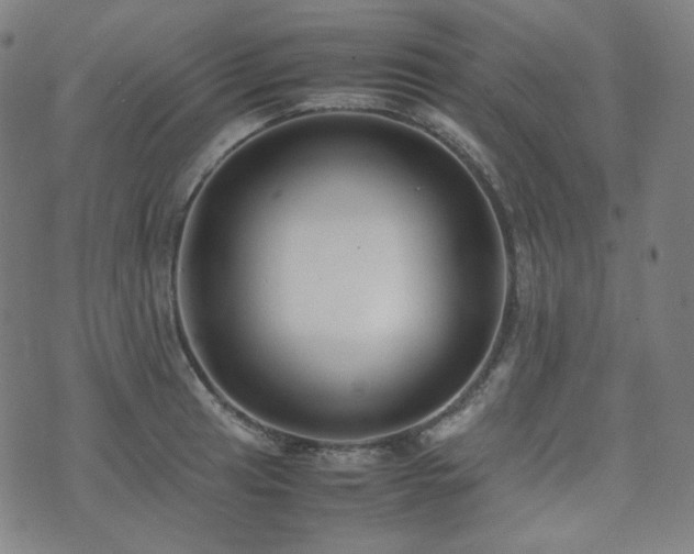 X0000072531041200607141157