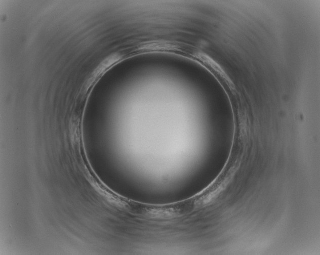 X0000072531049200607141157