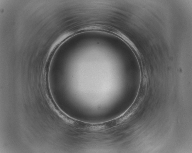 X0000072531053200607141157