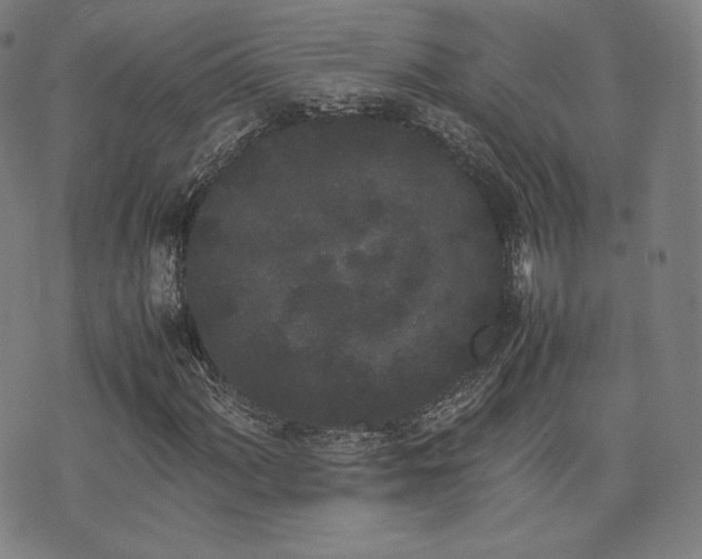 X0000072531060200607141157