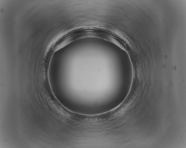 X0000072531069200607141156