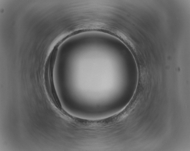 X0000072531085200607141156