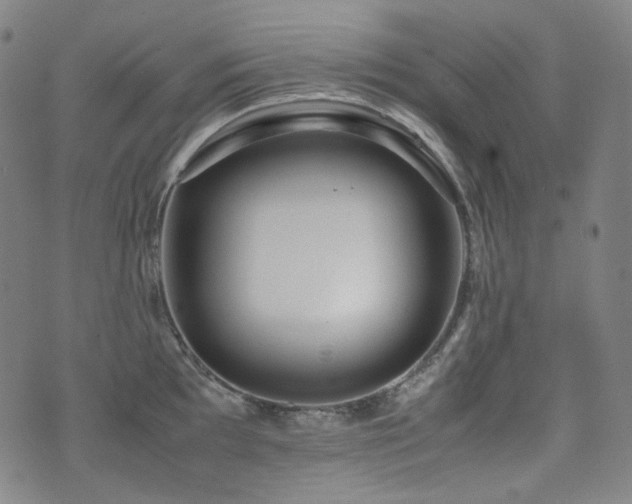 X0000072531097200607141156