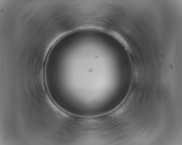 X0000072531100200607141156