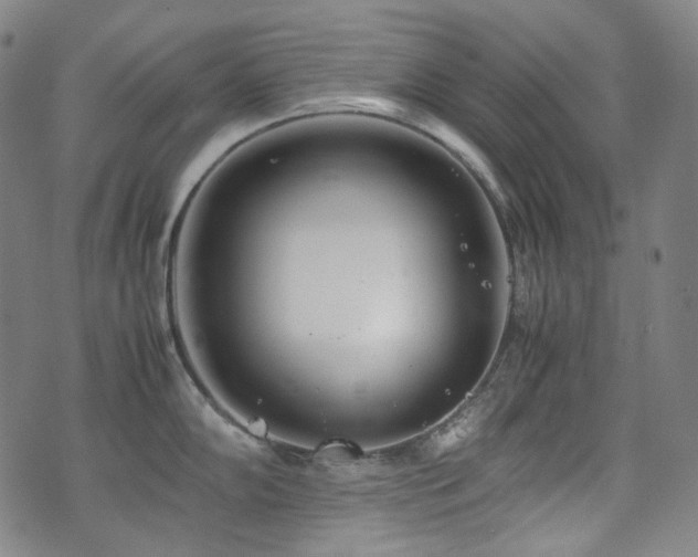 X0000072531102200607141156