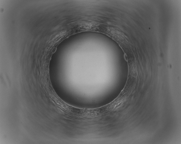 X0000072531105200607141155