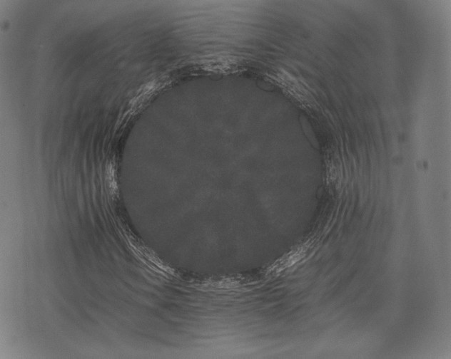 X0000072531106200607141155