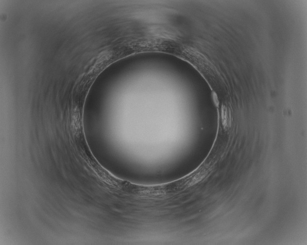 X0000072531107200607141155
