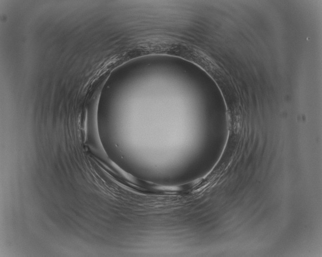 X0000072531108200607141155