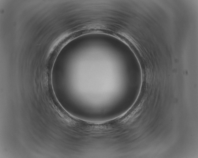 X0000072531115200607141155