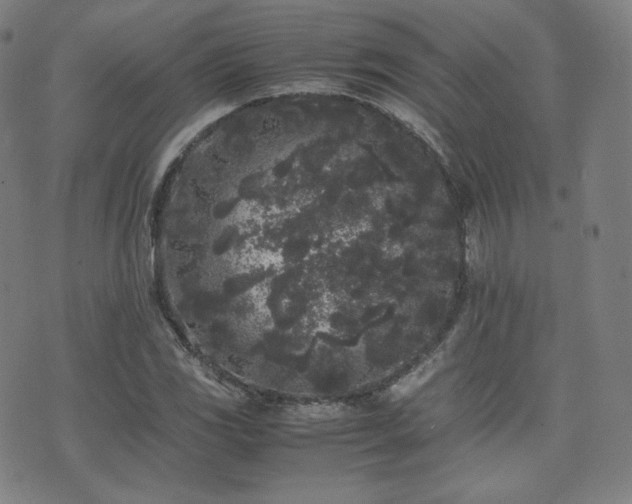 X0000072531117200607141155