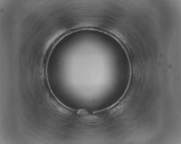 X0000072531119200607141155