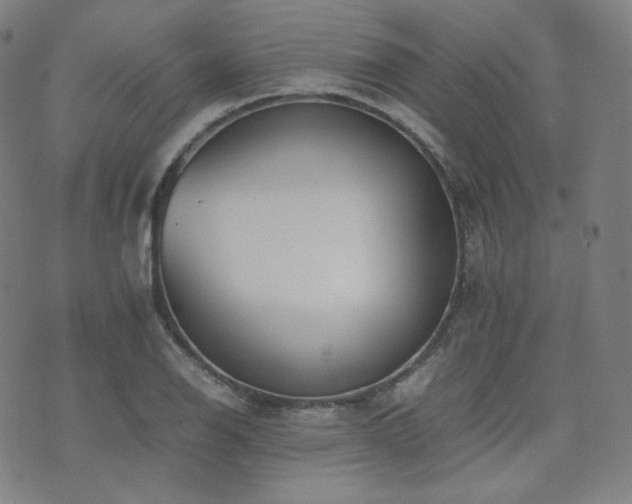 X0000072531126200607141155