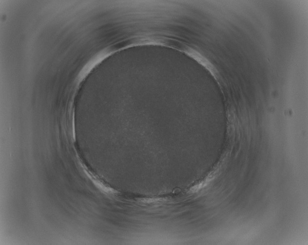 X0000072531127200607141156