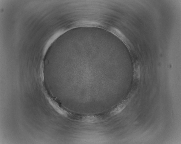 X0000072531128200607141156