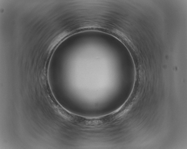 X0000072531129200607141156