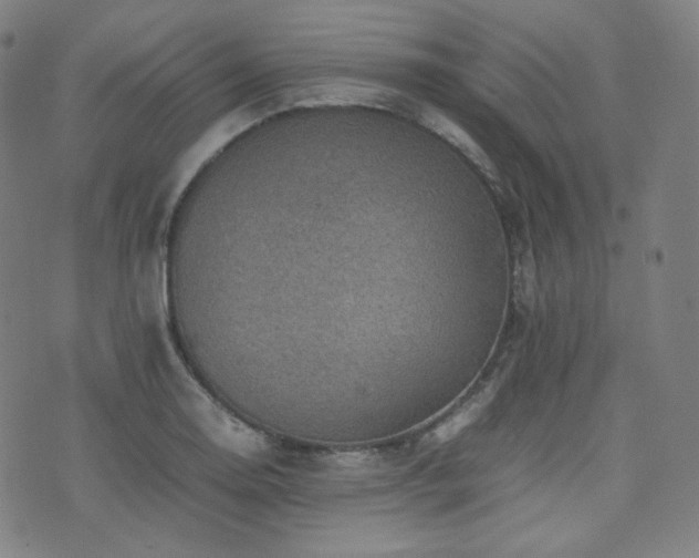 X0000072531130200607141156