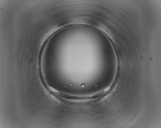 X0000072531133200607141156