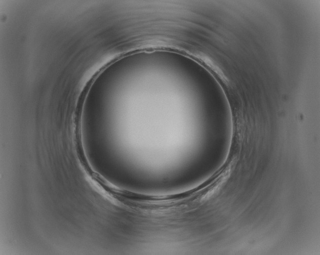 X0000072531134200607141156