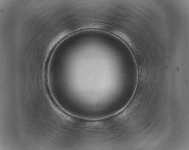 X0000072531135200607141156