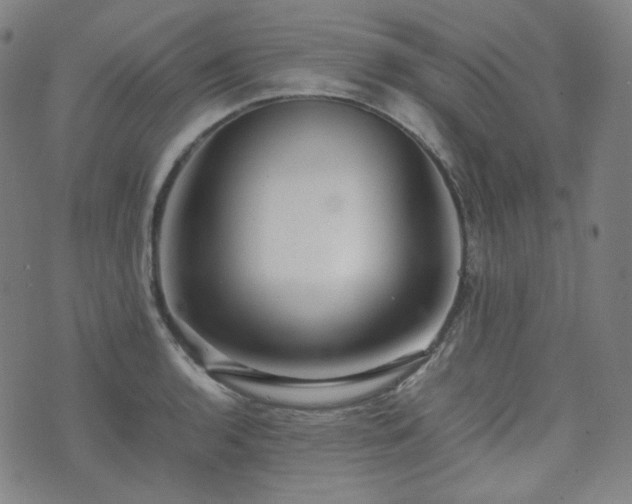 X0000072531136200607141156