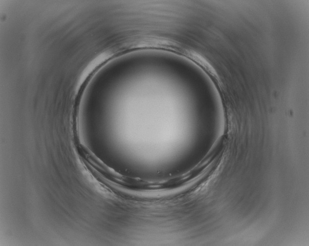 X0000072531138200607141156