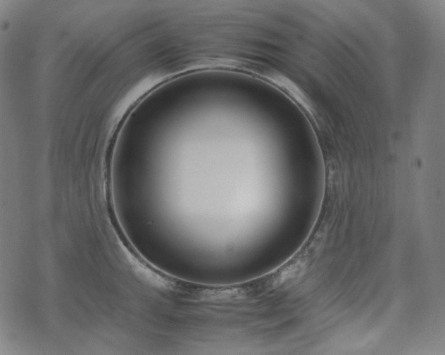 X0000072531143200607141156