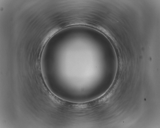 X0000072531145200607141156