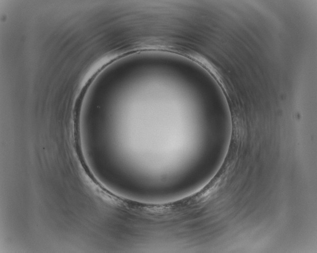 X0000072531147200607141156