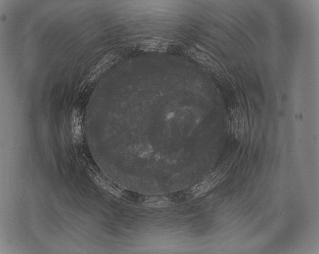 X0000072531154200607141155