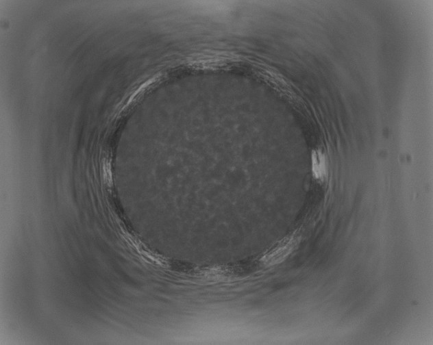 X0000072531155200607141155