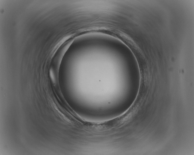 X0000072531177200607141155