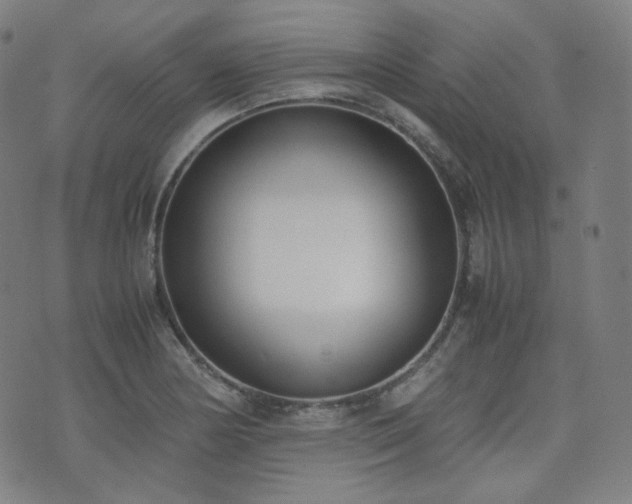 X0000072531178200607141155