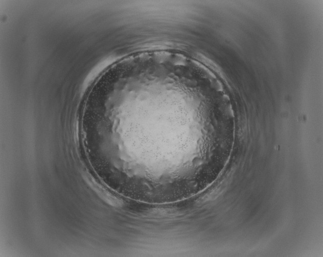 X0000072531179200607141155