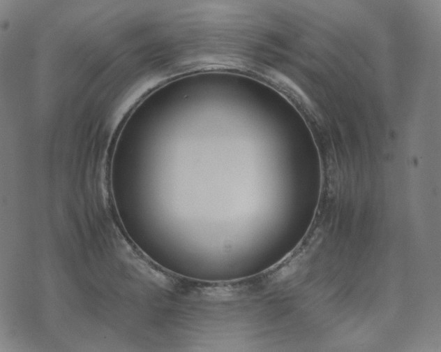 X0000072531182200607141155