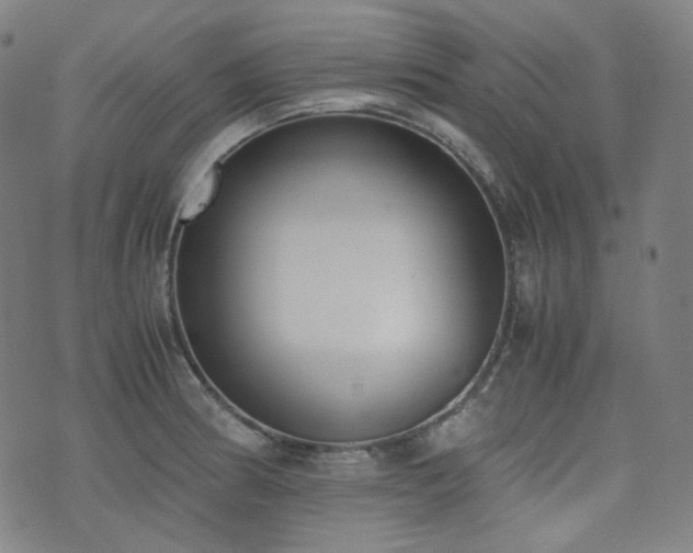 X0000072531186200607141155