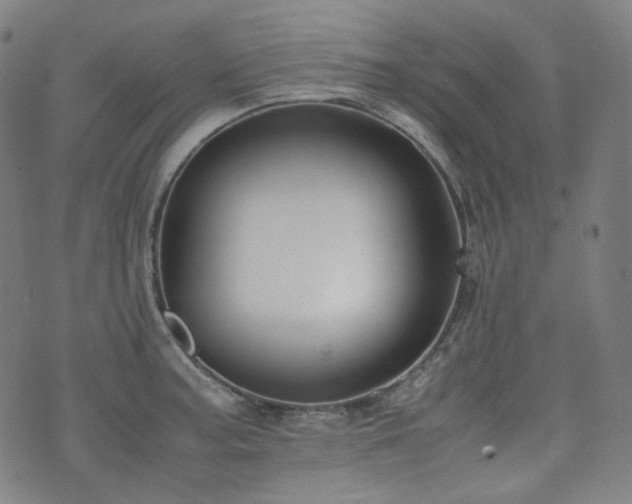 X0000072531187200607141155