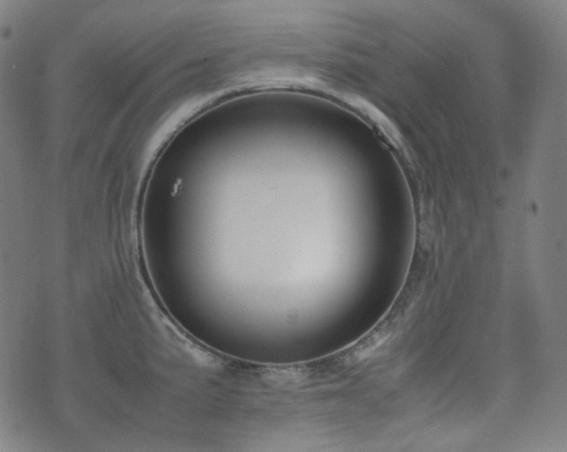 X0000072531191200607141155