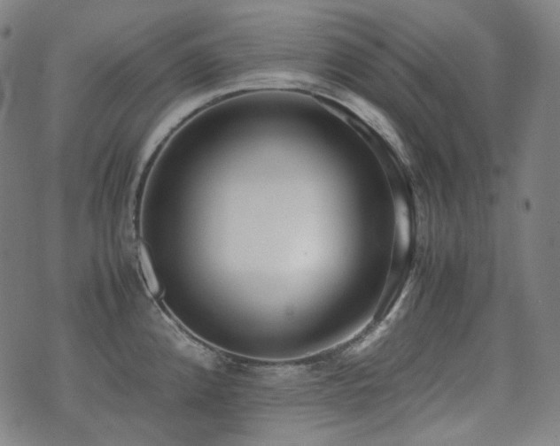 X0000072531192200607141155