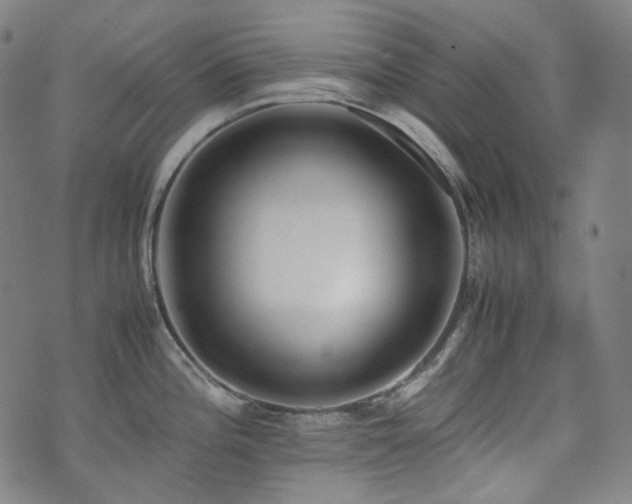 X0000072531196200607141154