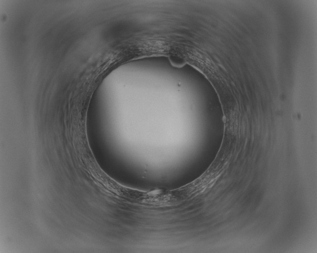 X0000072531201200607141154