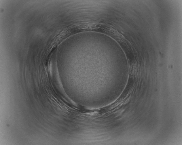 X0000072531202200607141154