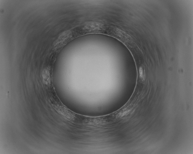 X0000072531203200607141154