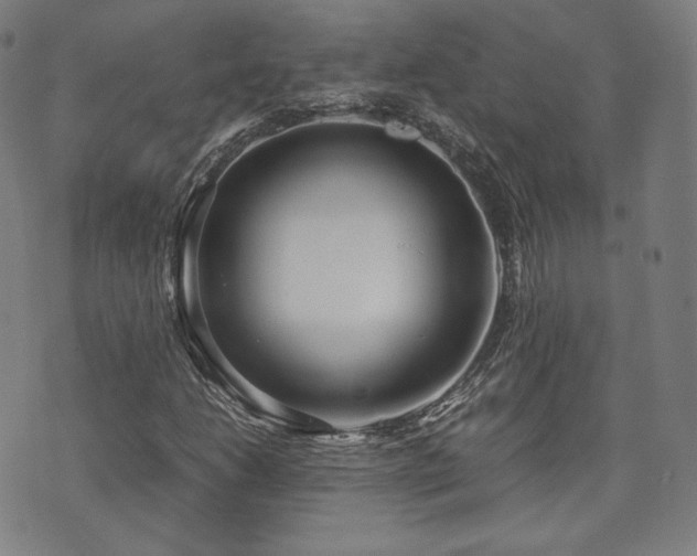 X0000072531206200607141154