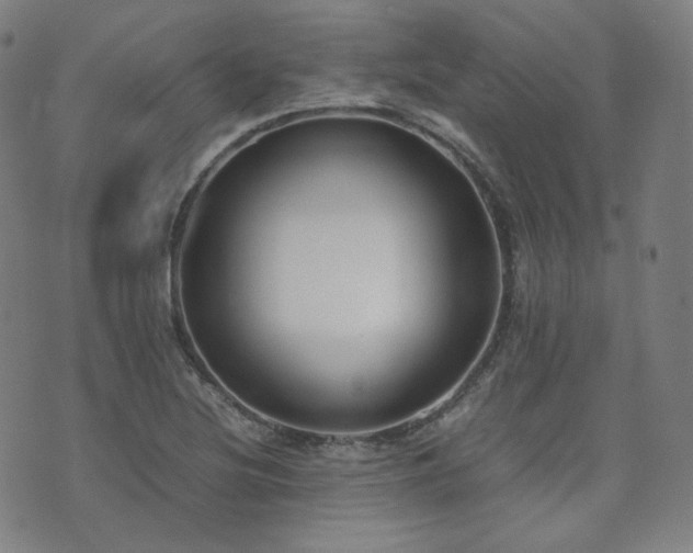 X0000072531220200607141154