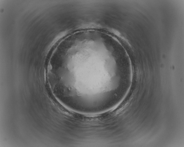 X0000072531221200607141154