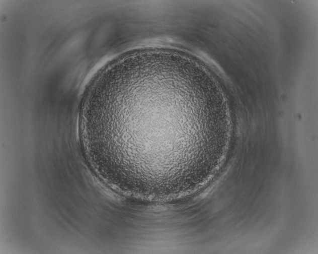 X0000072531224200607141154