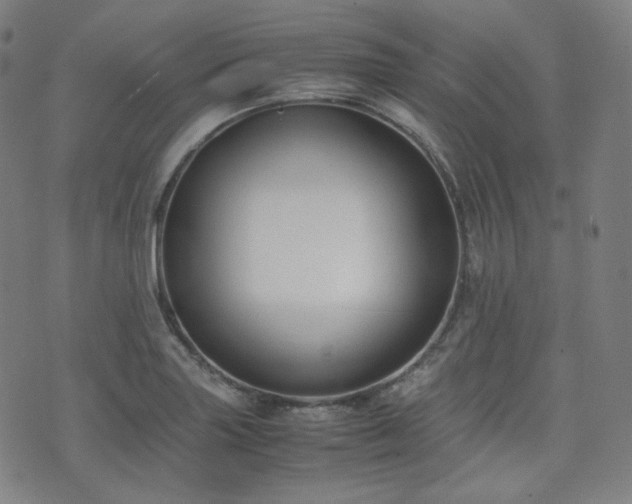 X0000072531227200607141154